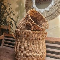 WhatsApp Image 2025-06-17 at 15.32.58 (2)_800x800