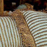 WhatsApp Image 2025-06-17 at 15.32.59 (2)_800x800