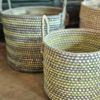 WhatsApp Image 2025-06-17 at 15.33.00 (1)_800x800