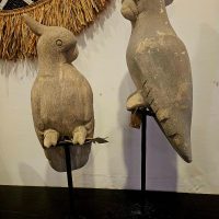 WhatsApp Image 2025-06-17 at 15.33.01 (2)_800x800